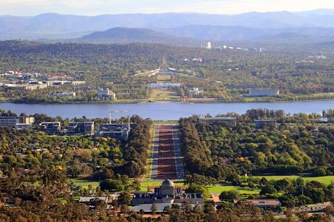 A city laid out below wooded slopes, seen from a high lookout