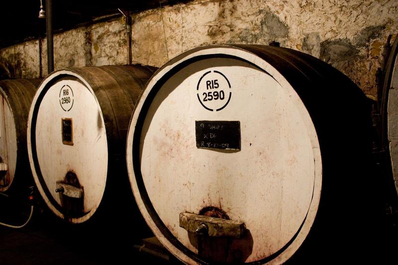 Large oak casks stacked in the cool dark of a winery cellar