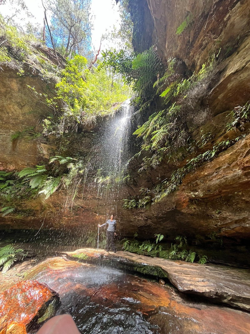 A walker behind a thin waterfall in a fern-lined sandstone gully