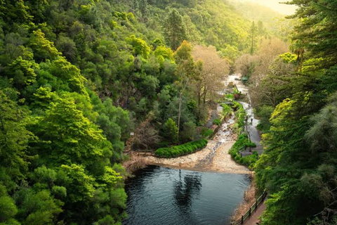 A walking path and stream winding through a green, wooded valley
